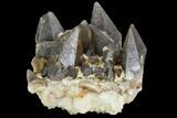 Dogtooth Calcite Crystal Cluster - Morocco #99669-2
